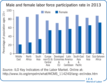 2013年男女劳动力参与率