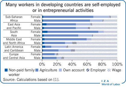 发展中国家的许多工人自雇或从事创业活动