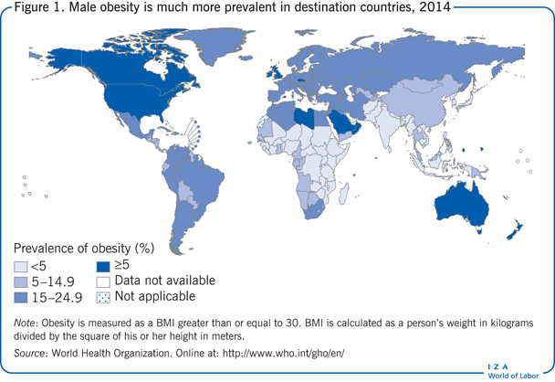 2014年，男性肥胖在目的地国家更为普遍