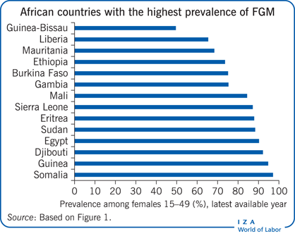 女性生殖器切割盛行率最高的非洲国家