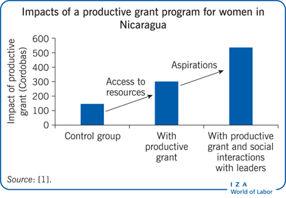 尼加拉瓜妇女生产性奖助金计划的影响