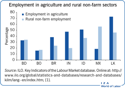 农业和农村非农业部门的就业