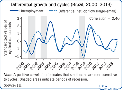 不同的增长和周期(巴西，2000-2013年)
