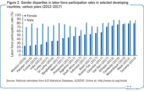 选定发展中国家不同年份劳动力参与率的性别差异(2012-2017年)