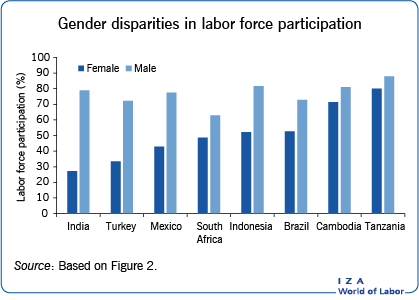 劳动参与率的性别差异