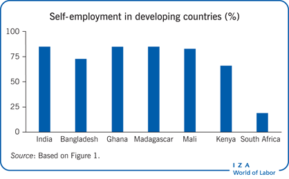 发展中国家自主创业(%)