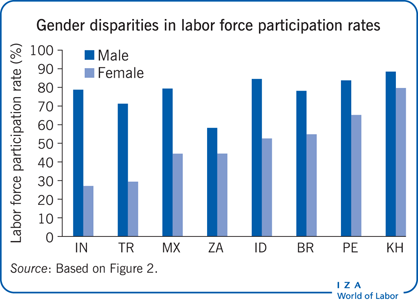 劳动力参与率的性别差异