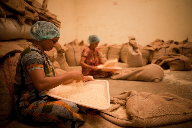 在印度，数百万女性正在退出劳动力市场